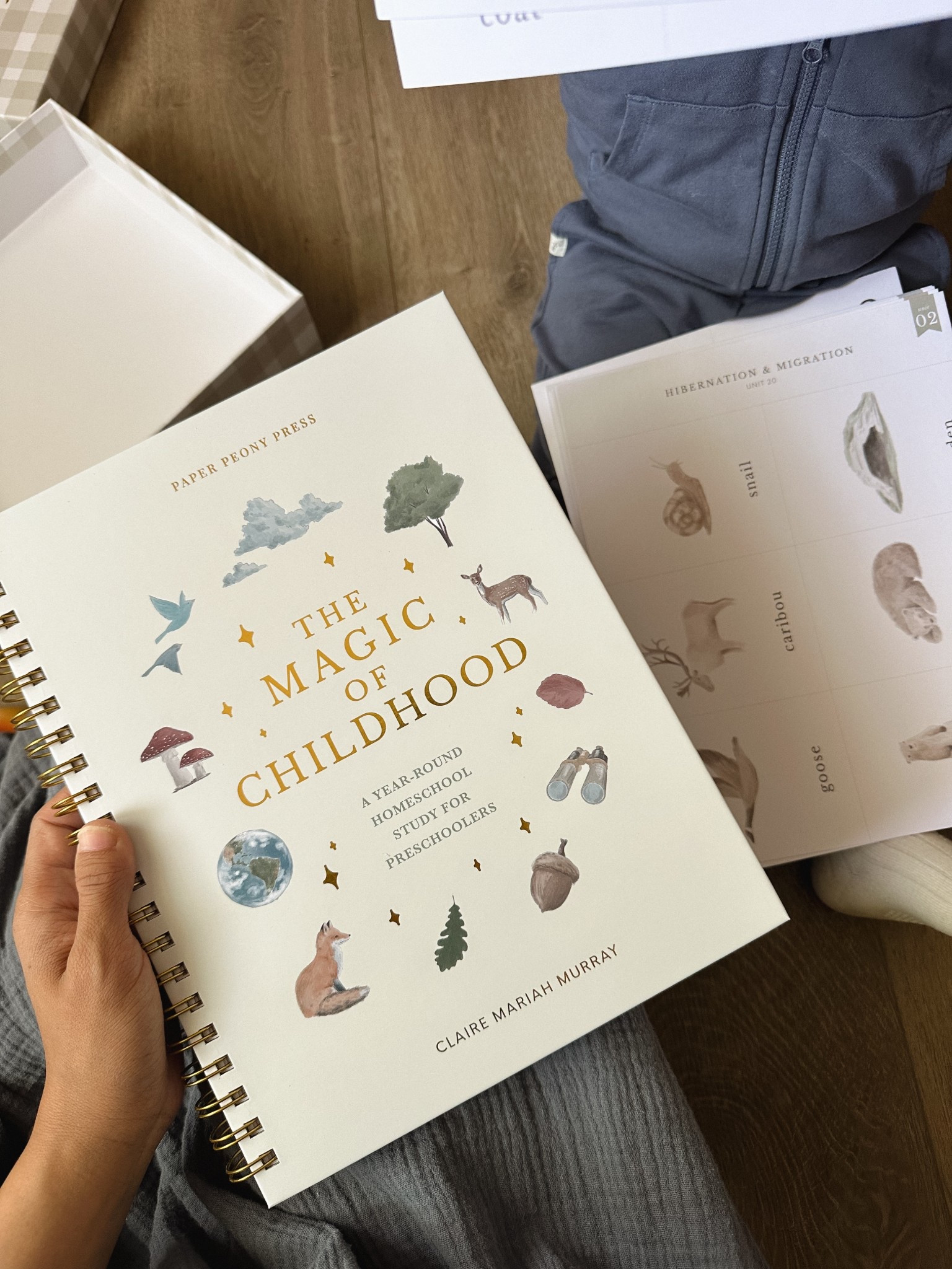 The most adorable pre-school age, faith based homeschool curriculum. It’s a year round lesson plan and the unit studies are themed and just so so cute. Linking the pre-order here!

#LTKFamily #LTKKids