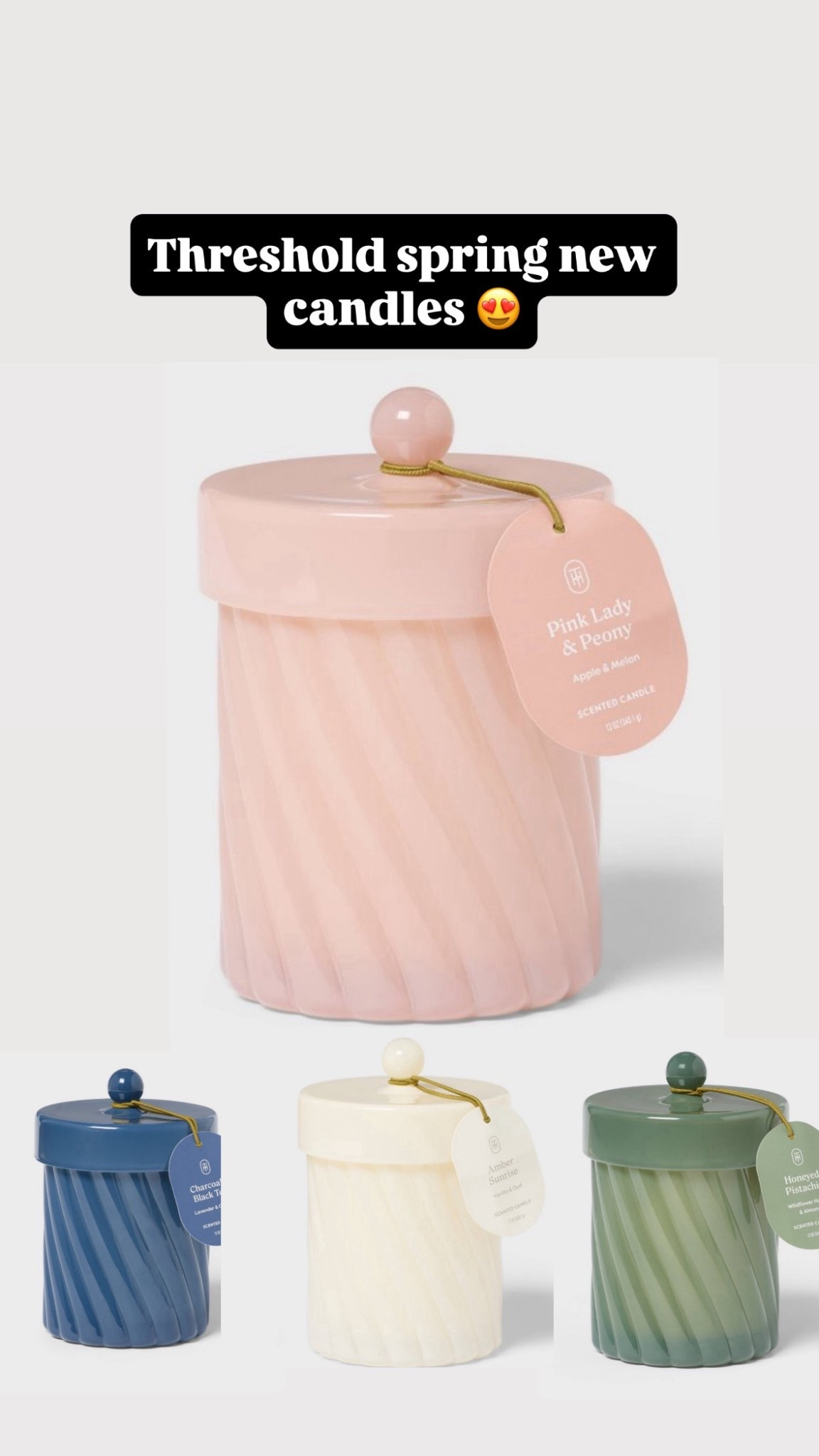 The smell on this new candles from Target 😍 

#LTKSeasonal #LTKHome #LTKSaleAlert