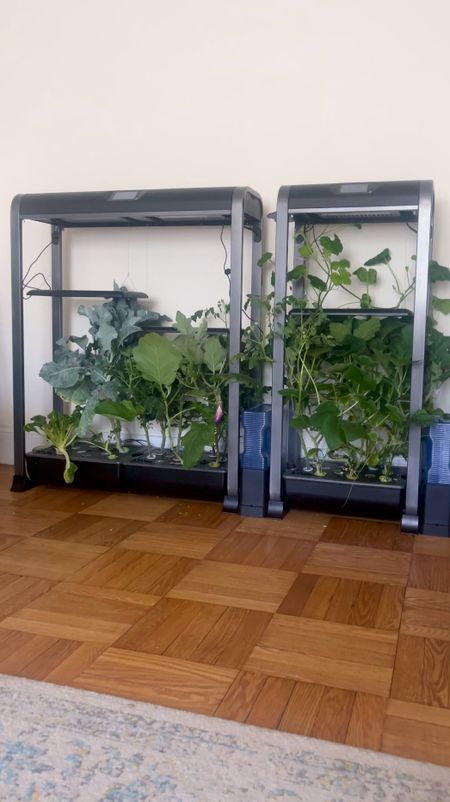 Aerogarden farm12xl on super sale! these  large floor units are my favorite indoor gardens


#LTKsalealert #LTKhome