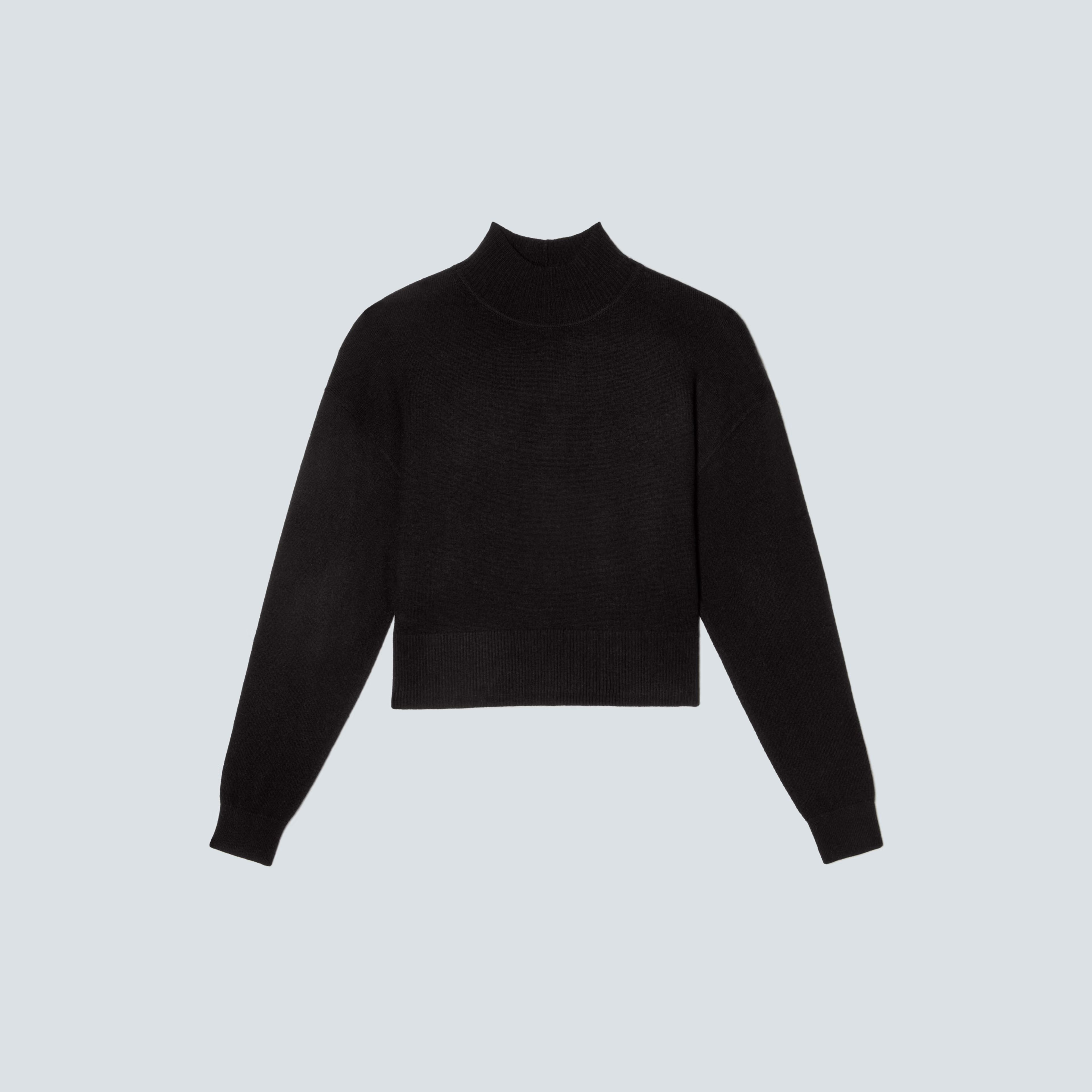 The Luxe Merino Turtleneck | Everlane