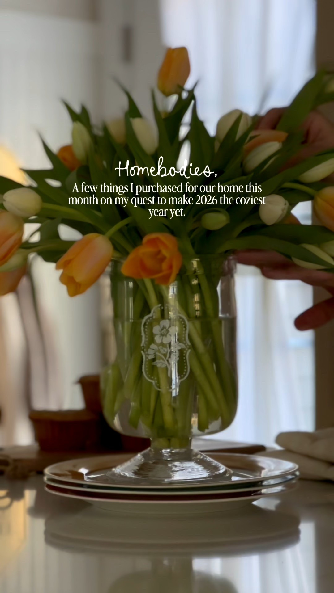 A few things I’ve purchased for our home this month to make 2026 the coziest year yet. 

#LTKdayinmylife #LTKHome