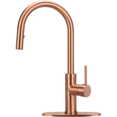 Pull Down Kitchen Faucet with Single Handle and Deck Plate | Wayfair North America