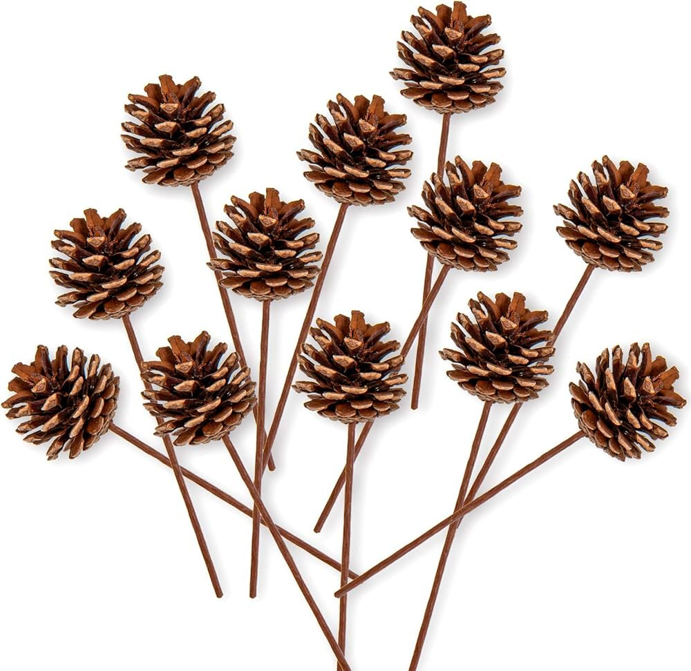 Whaline Christmas Natural Pine Cones 12 Pieces Pinecone Picks Christmas Tree Ornament Holiday Cen... | Amazon (US)