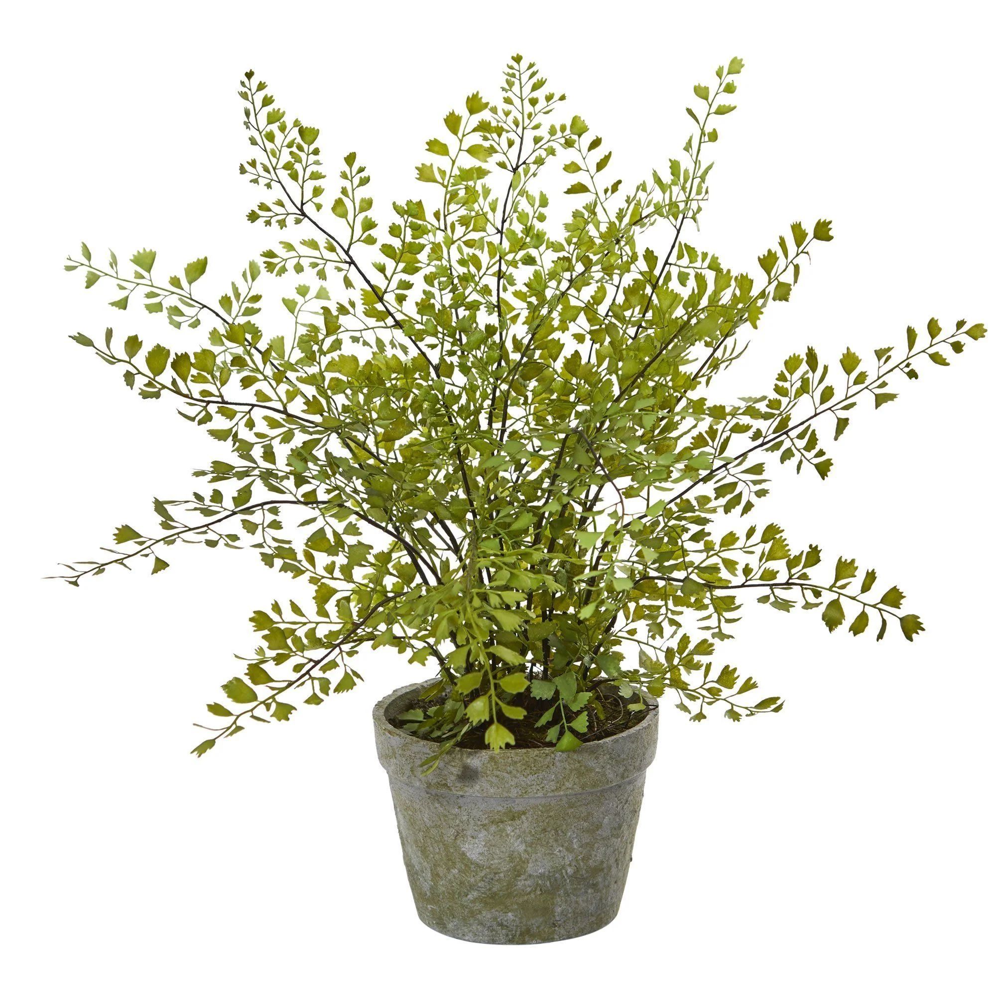 Maiden Hair Artificial Plant in Decorative Planter | Nearly Natural | Nearly Natural