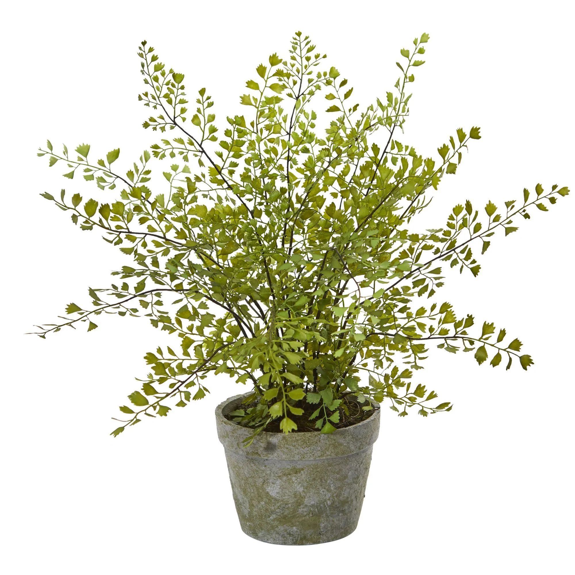 Maiden Hair Artificial Plant in Decorative Planter | Nearly Natural