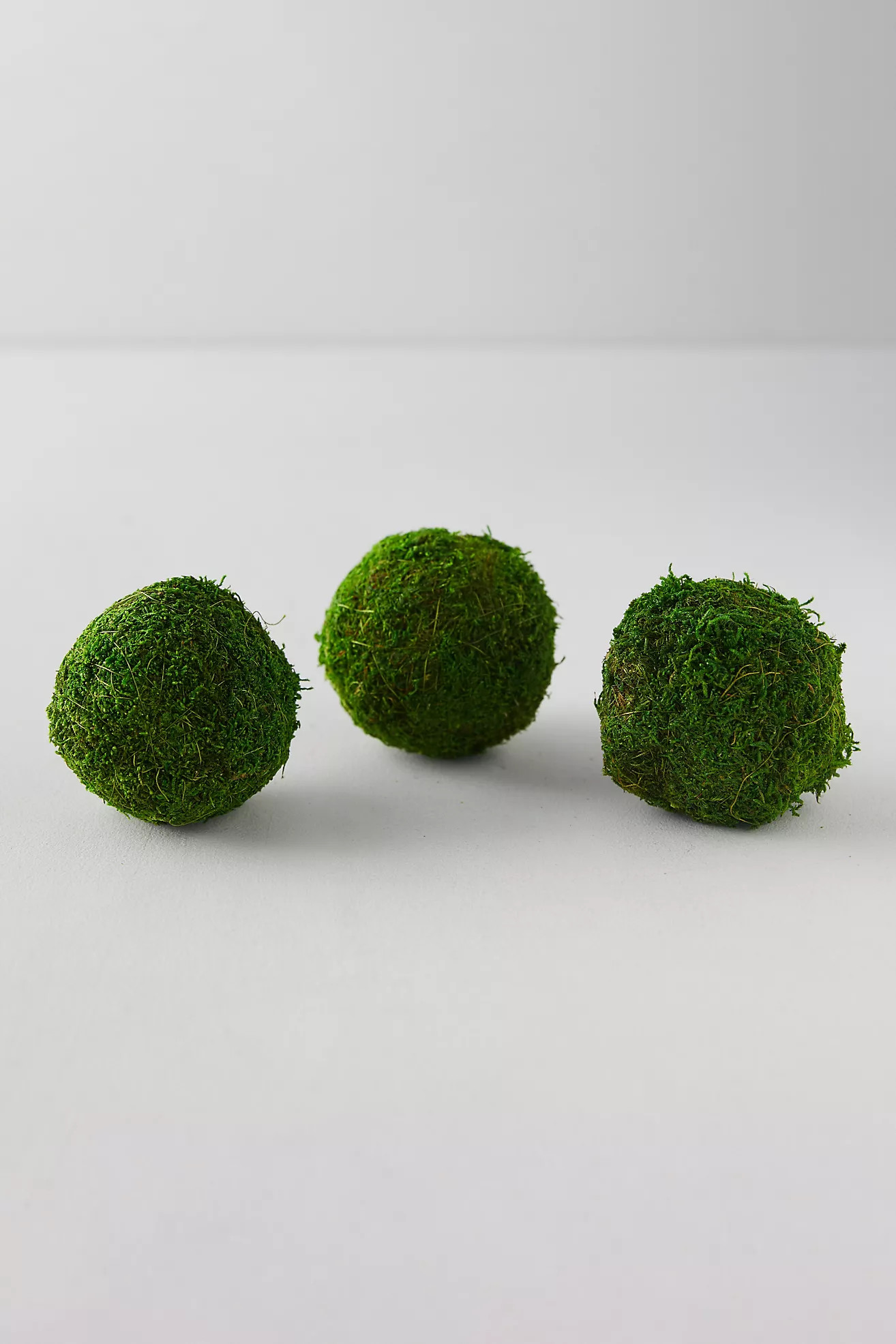 Natural Moss Balls, Set of 3 | Anthropologie (US)