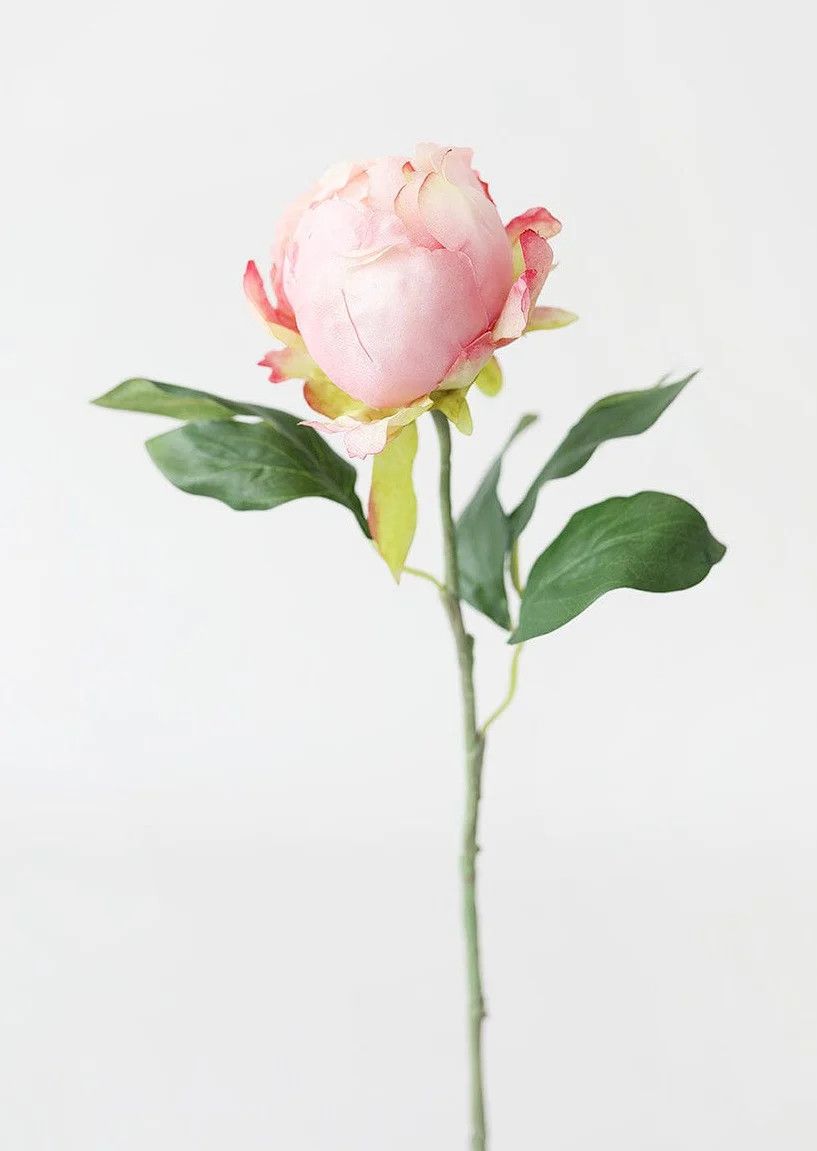 Artificial Flower Pink Peony Bud - 18" | Afloral