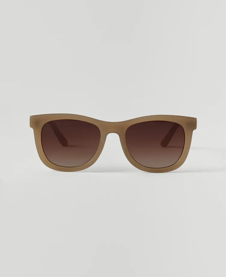 Rounded Square Sunglasses | Ann Taylor
