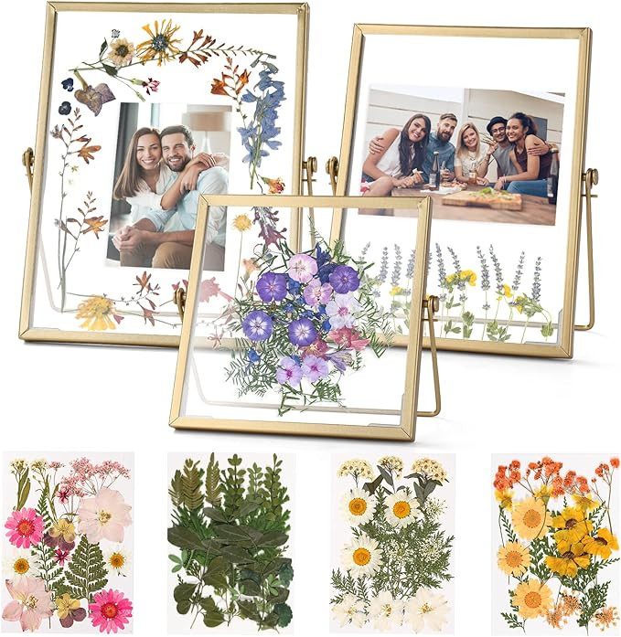 Relaxing Garden Gold Picture Frame Set - /w 68 Pcs Dried Flowers and Tweezer - Double Glass Frame... | Amazon (US)