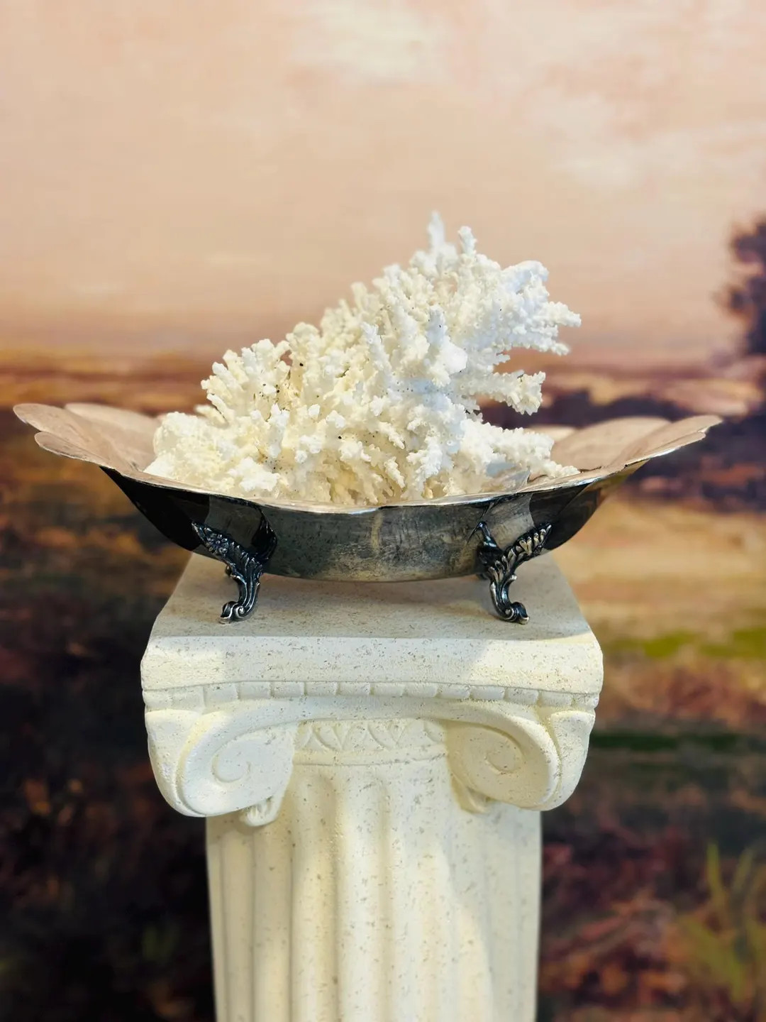 Long Silverplate Scalloped Dish Reed and Barton| French Antique Dish | Elegant Silver Accented Di... | Etsy (US)