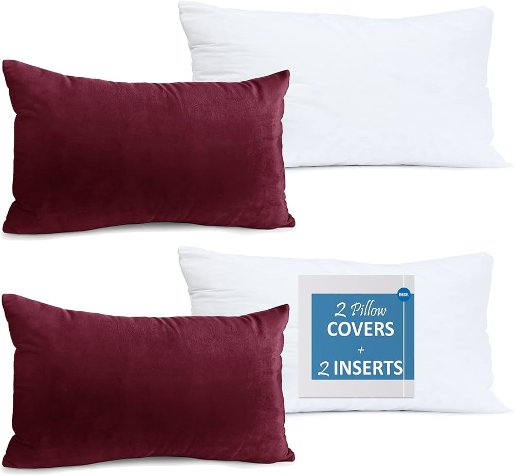 Throw Pillow Inserts Pack of 2 with Velvet Soft Solid Decorative Square Throw Pillow Covers Set f... | Amazon (US)