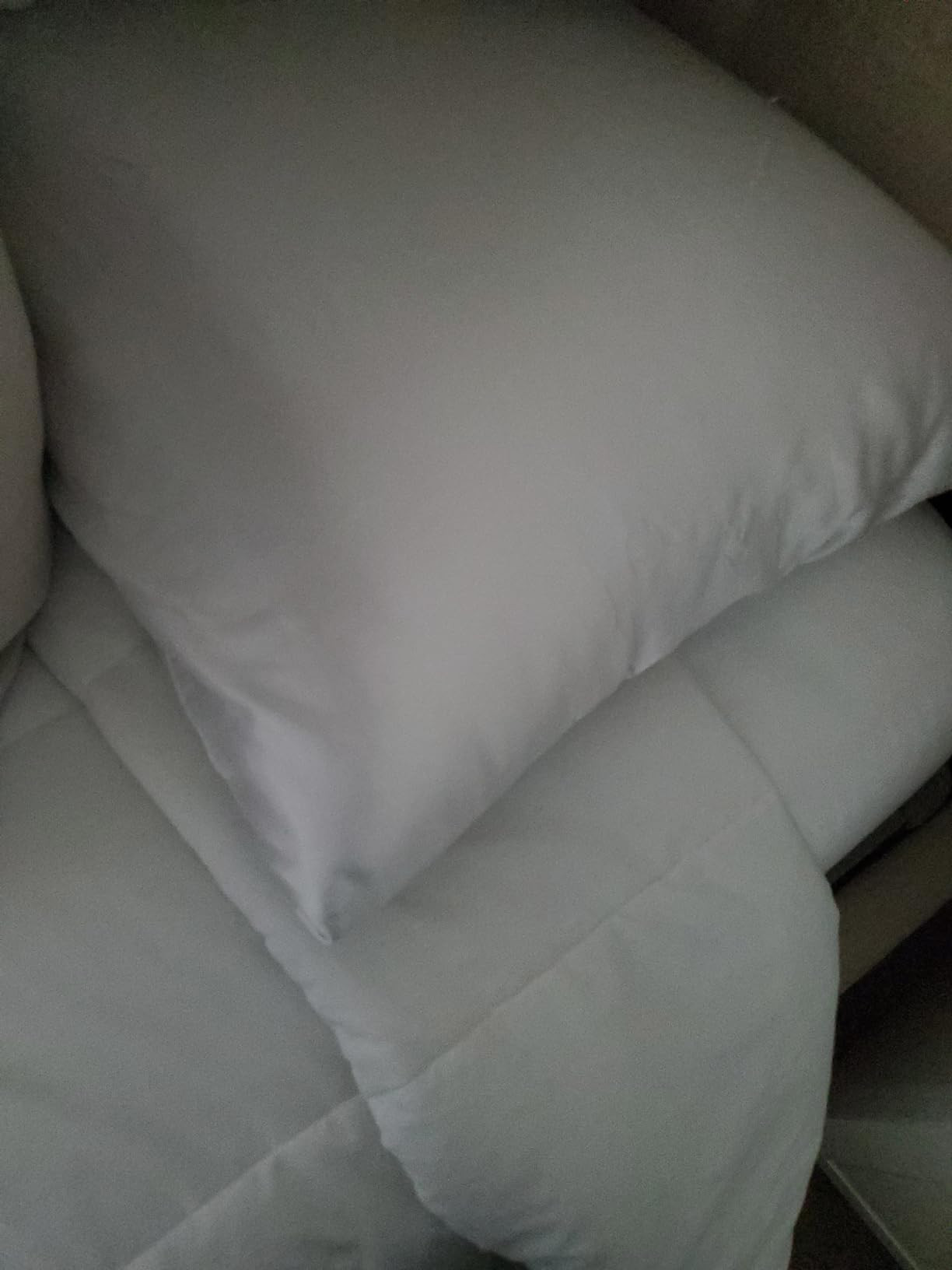 Beckham Hotel Collection Bed Pillows Standard / Queen Size Set of 2 - Down Alternative Bedding Ge... | Amazon (US)