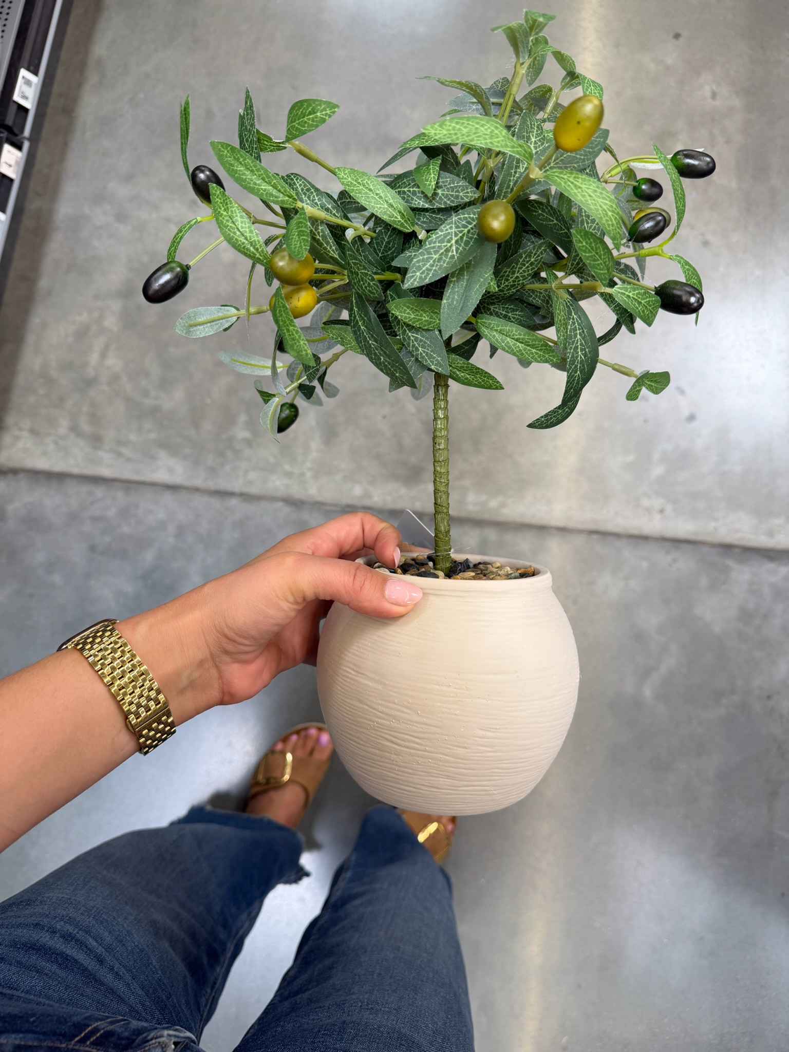 I’m always looking for simple greenery that adds life and texture without the maintenance.

This faux olive tree has the soft, organic look I love for styling shelves, kitchen counters, entry tables, and open shelving. The neutral planter makes it easy to mix with almost any decor style.

If you're decorating with warm, collected pieces, this is an easy way to bring a touch of greenery into your home year-round.
@Walmart 

 #LTKU #LTKHome #LTKSaleAlert