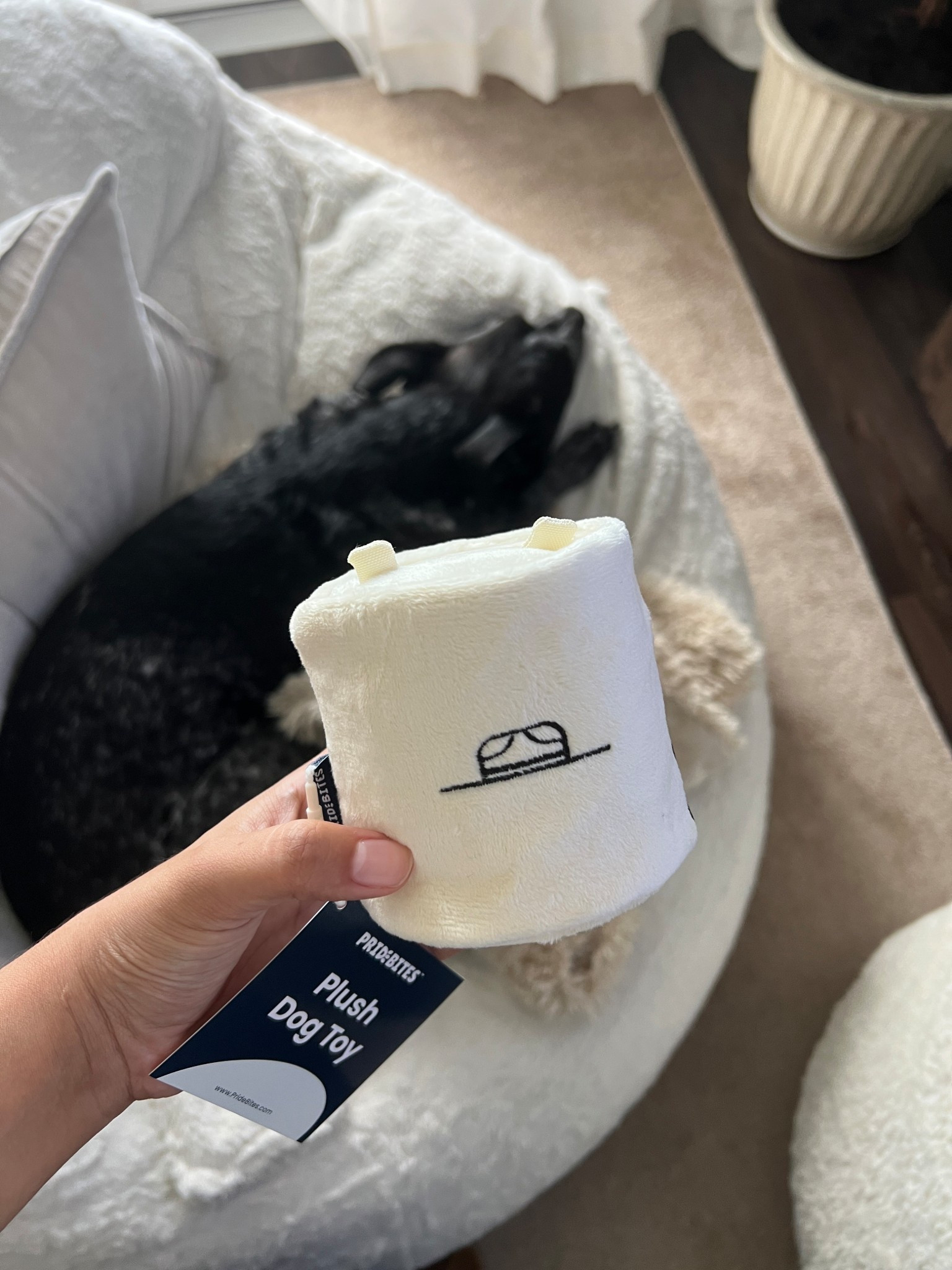 The cutest dog toy shaped like a candle 🤍