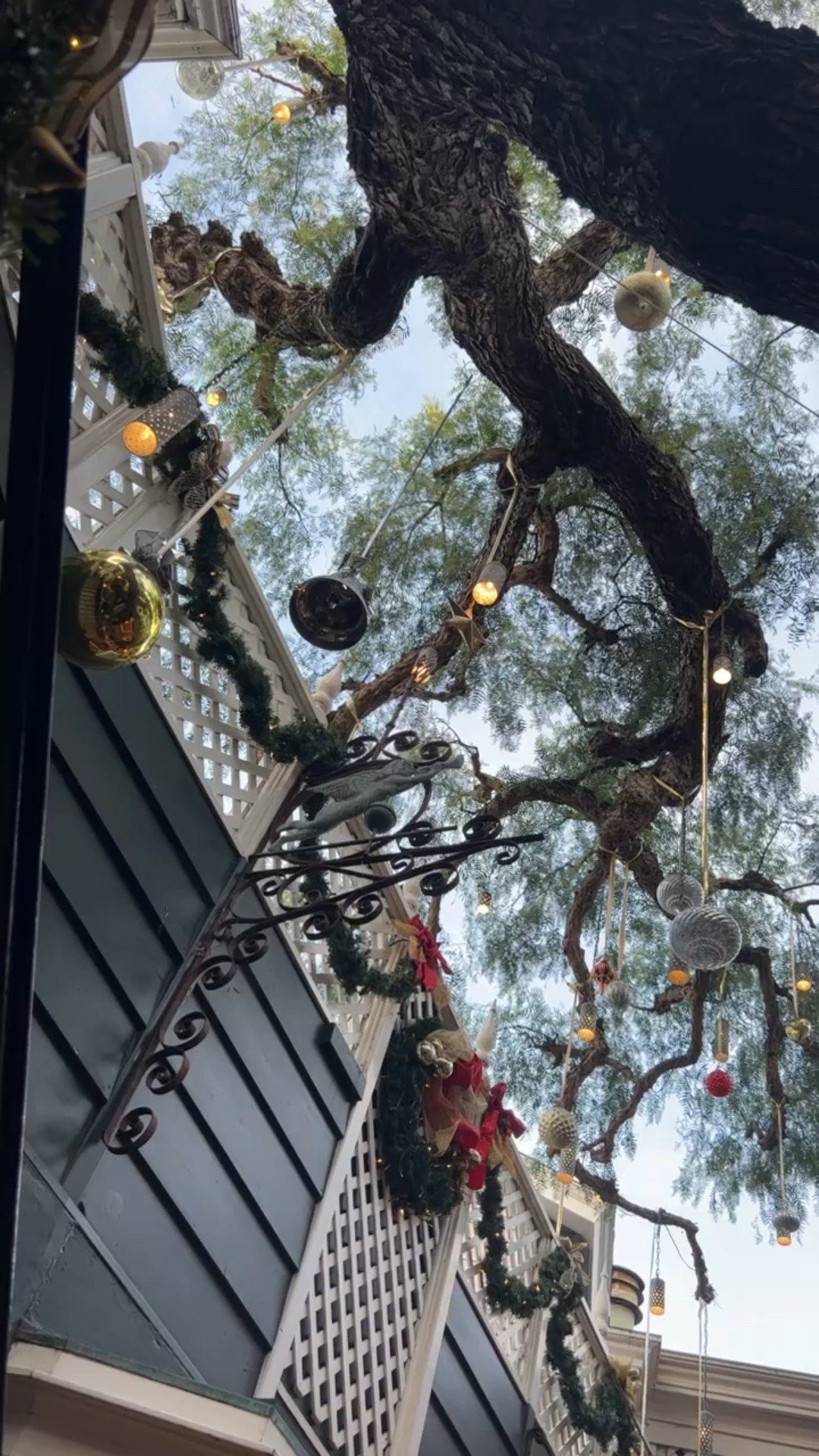 Dessert Stop in Laguna Beach at Pepper Tree Lane

One of my favorite little dessert moments in Laguna Beach is grabbing gelato and wandering Pepper Tree Lane, especially during the holidays. This tucked away lane feels extra magical this time of year with festive decor, twinkling lights, and that cozy coastal holiday vibe Laguna does so well.

Gelato Paradiso is the perfect stop for a sweet treat before strolling the lane, soaking in the atmosphere, and snapping a few photos along the way. It is such a simple plan but feels special, whether you are visiting for the season or just want a relaxed dessert stop by the beach.

If you love discovering charming spots that feel like a hidden gem, this is one worth adding to your Laguna Beach list.

#lagunabeach #orangecounty #dessertstop #gelatolovers #peppertreelane #lagunabeachfood #holidayvibes #hiddenoc #coastalholiday

laguna beach dessert | gelato laguna beach | pepper tree lane | orangecounty desserts | holiday things to do oc | laguna beach hidden gems | festive spots laguna beach



#LTKSeasonal #LTKHoliday #LTKTravel