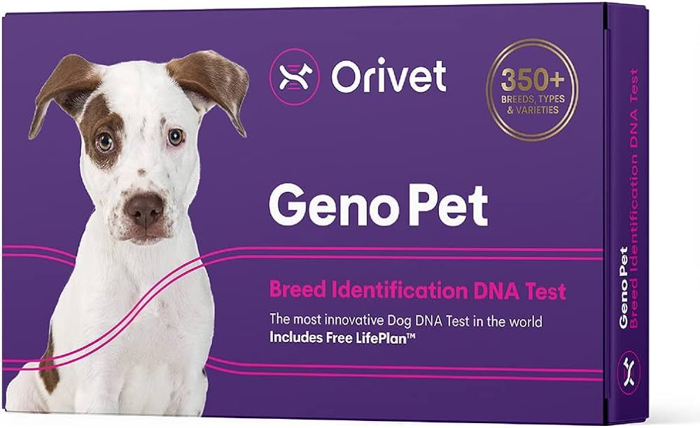 Orivet Genopet Dog DNA Test | Dog Breed Test Kit, Genetic Testing, Heritable Health Risks and Lif... | Amazon (US)