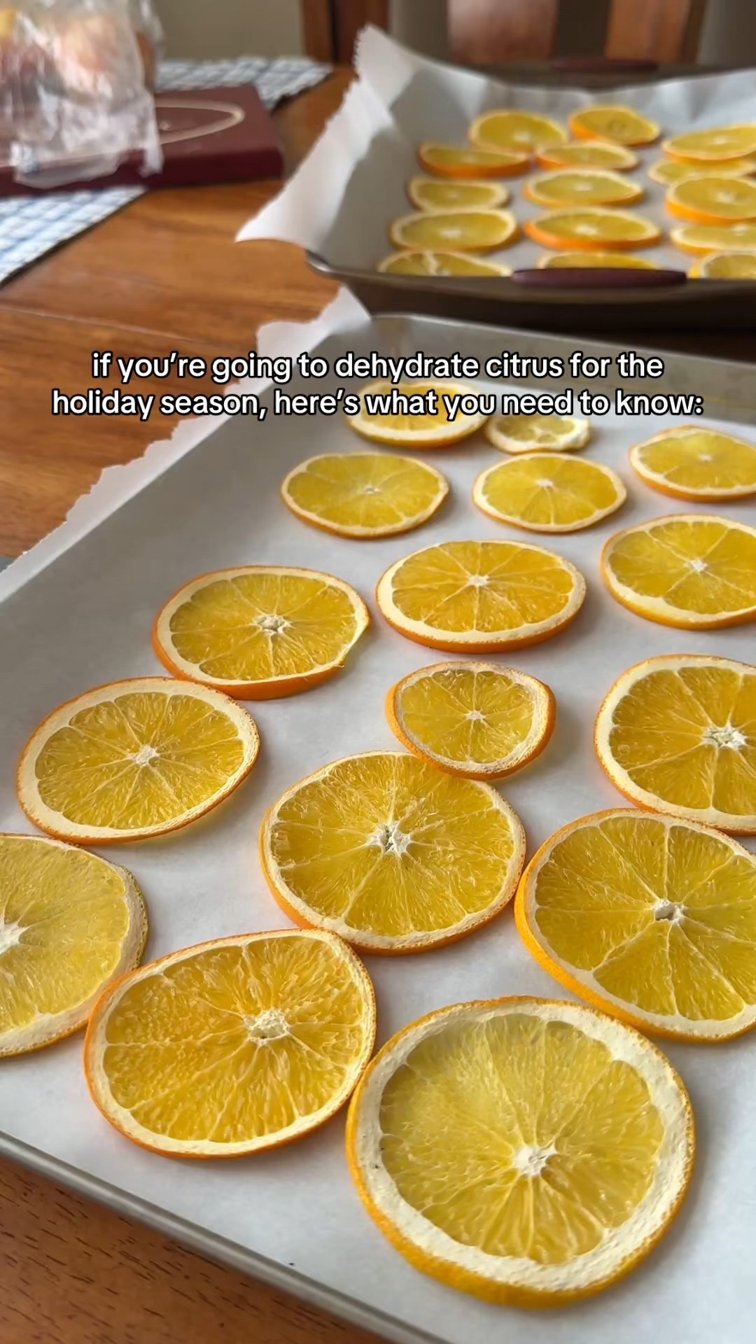 tips for dehydrating oranges for christmas



#LTKGiftGuide #LTKHoliday #LTKSeasonal