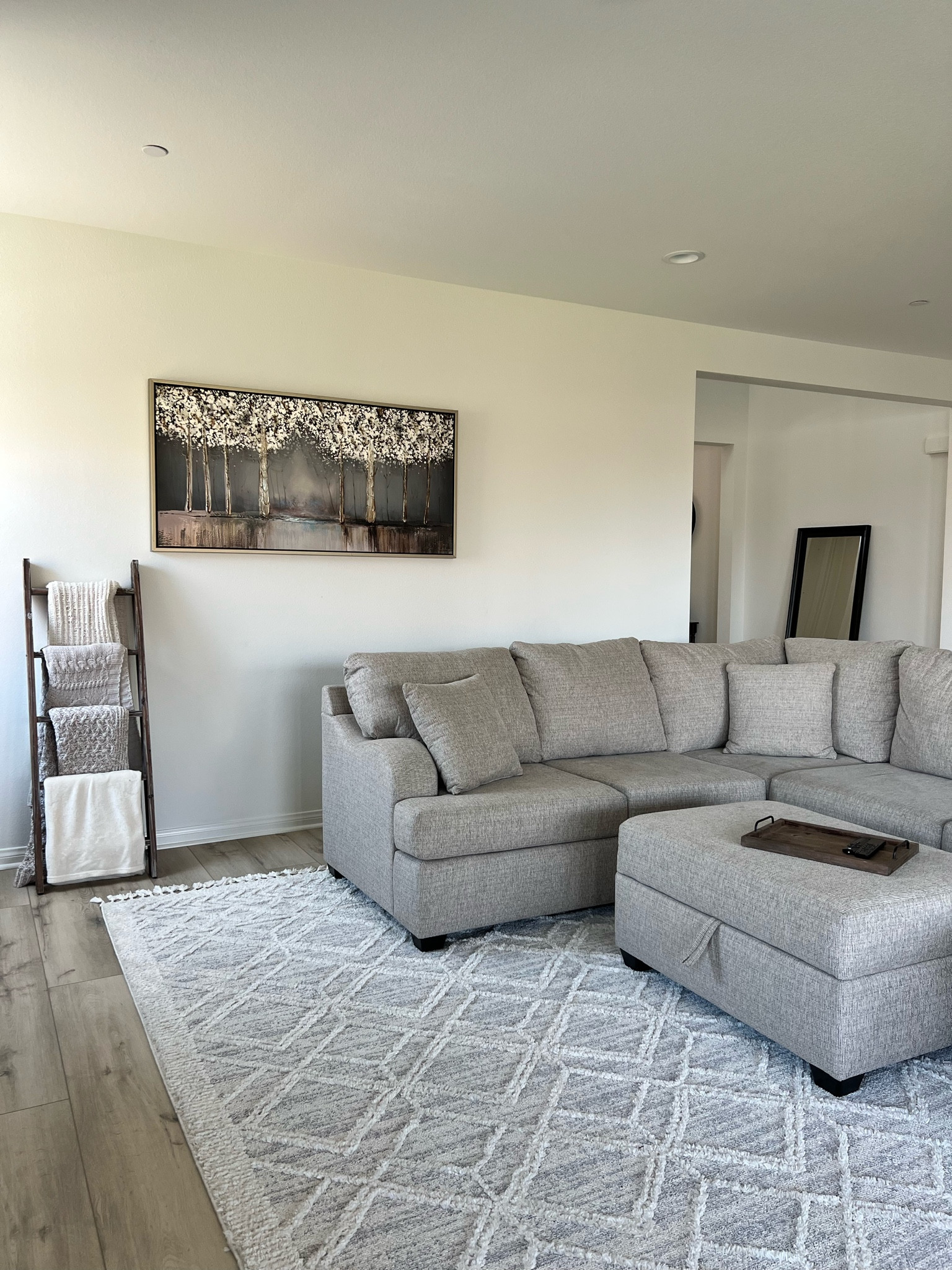 When the family room of your dreams is finally coming together! Completely swooning over this area rug! 

#LTKunder100 #LTKhome