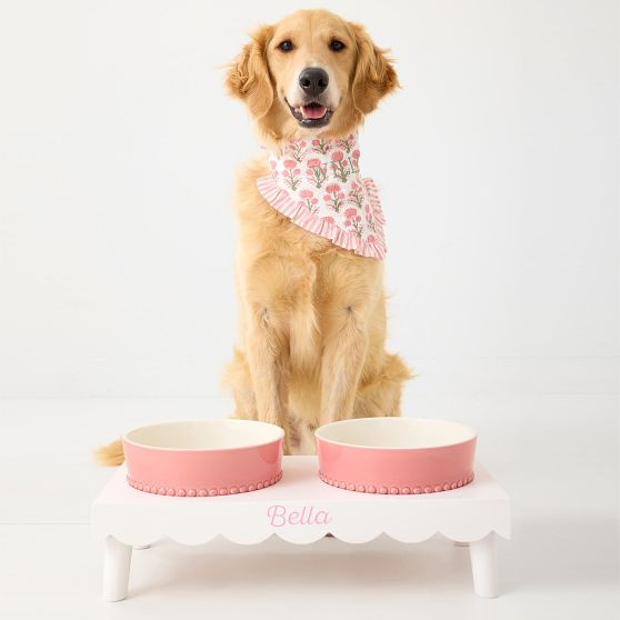 Build Your Pet Bowl Stand | Mark and Graham