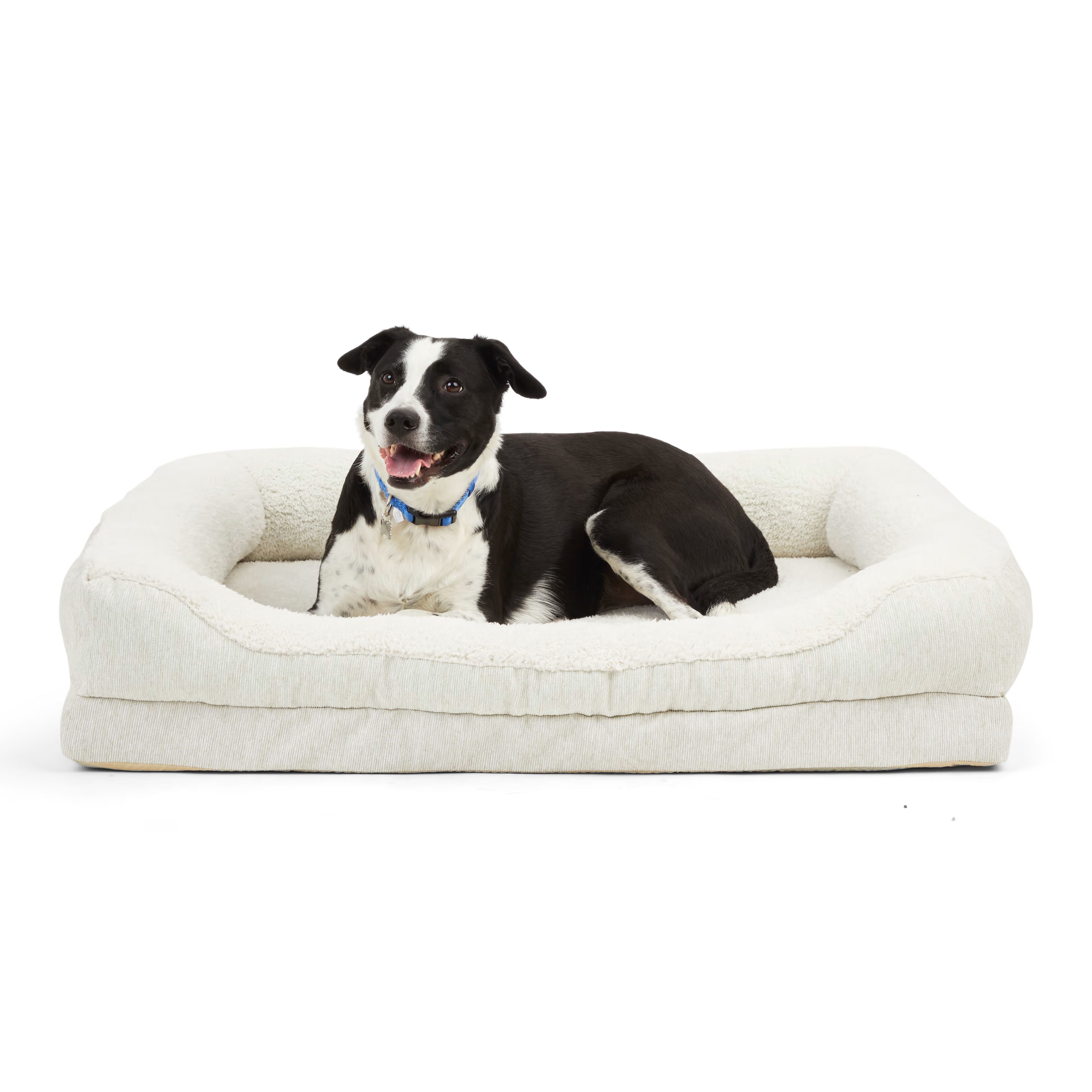 EveryYay Snooze Fest Orthopedic Cuddler Dog Bed, 40" L X 30" W | Petco