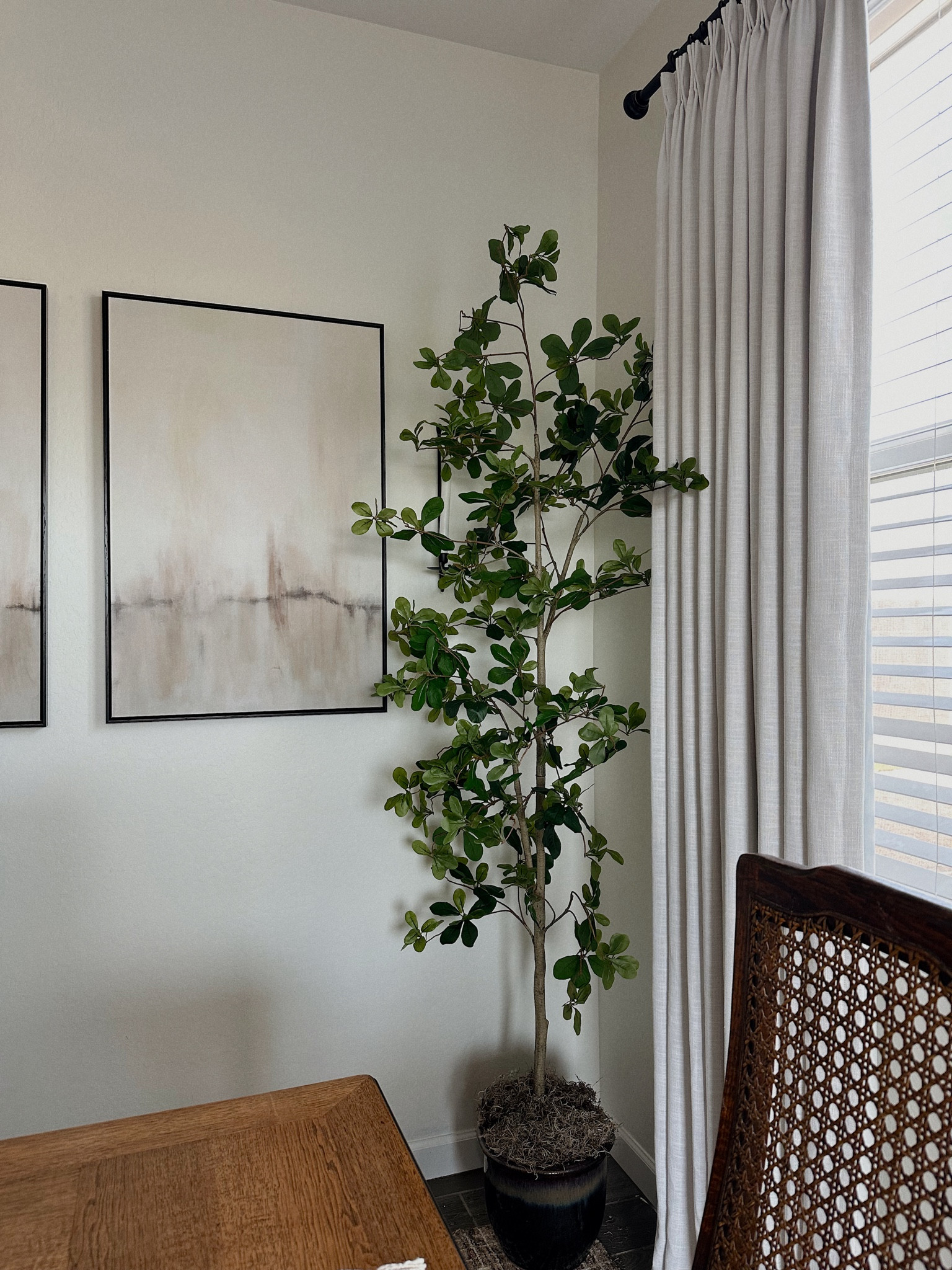 7’ amazon tree 🫶🏼 very happy with it for the price!

#LTKFindsUnder100 #LTKHome