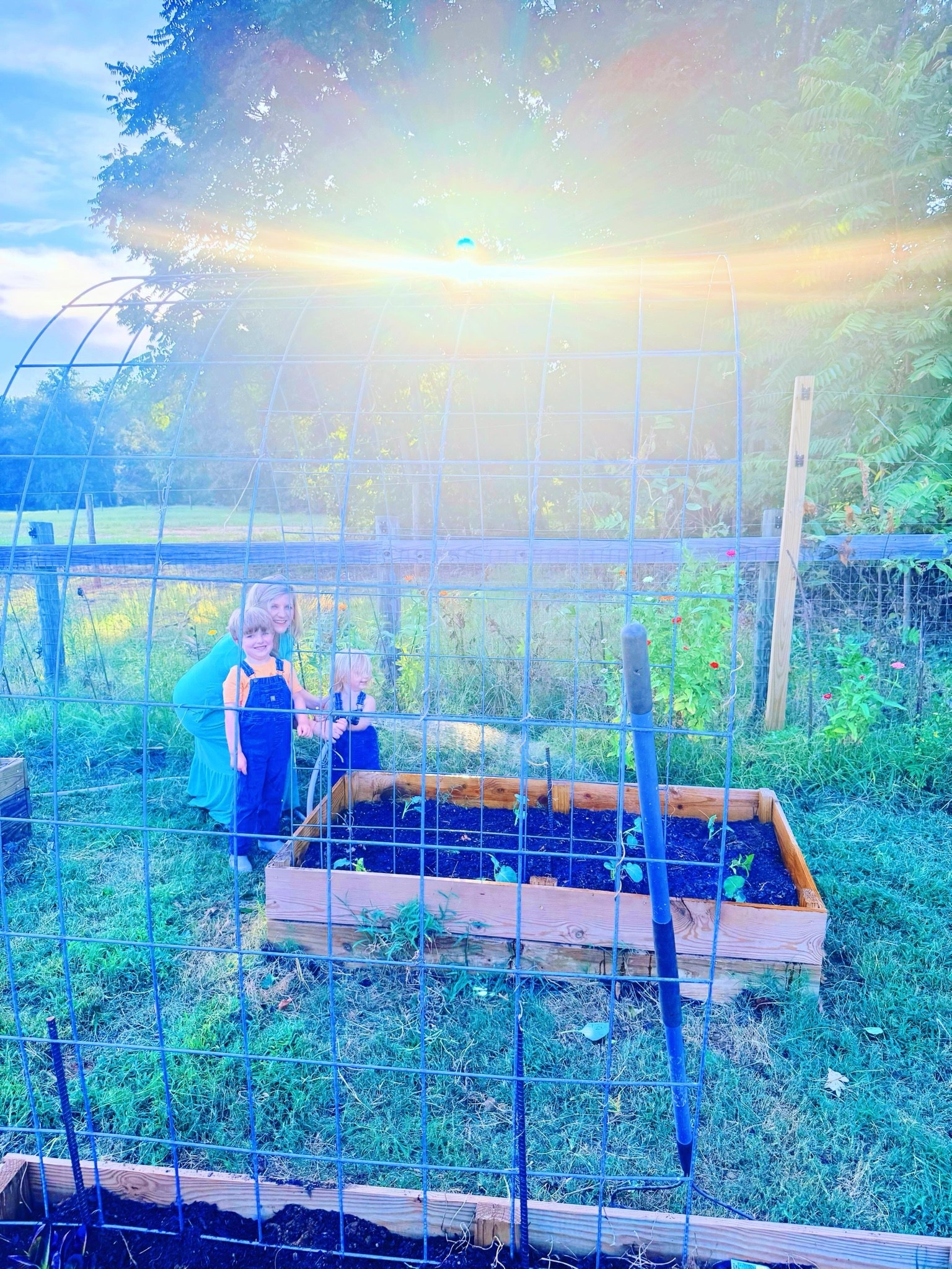 f a l l  i n  t h e  g a r d e n  w i t h  a l l  m y  c o u n t r y  b o y s  and it still all feels like such a dream 💭 come true getting to raise these little country cuties 🤠 out on a bunch of land 🌾 like we always dreamed of !!! 👩‍🌾🤎🌼🧺🥬🪴🥦🤎🍂🪏 #fallgarden #fallonthefarm #fallgardening #plantingourfallgarden #fallweekendfun