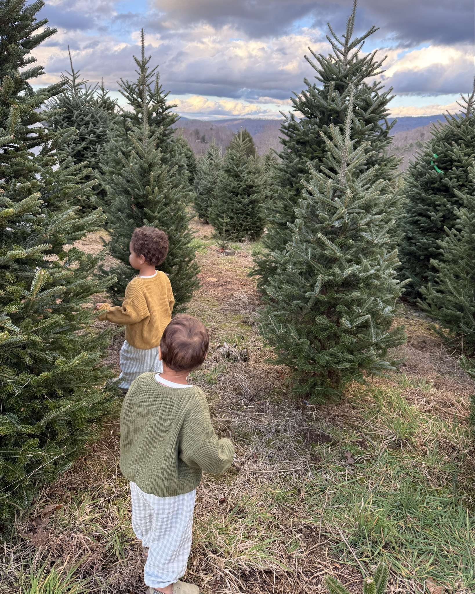 Not fostered collection, Amazon! 😍😍

#LTKKids #LTKBaby #LTKootd