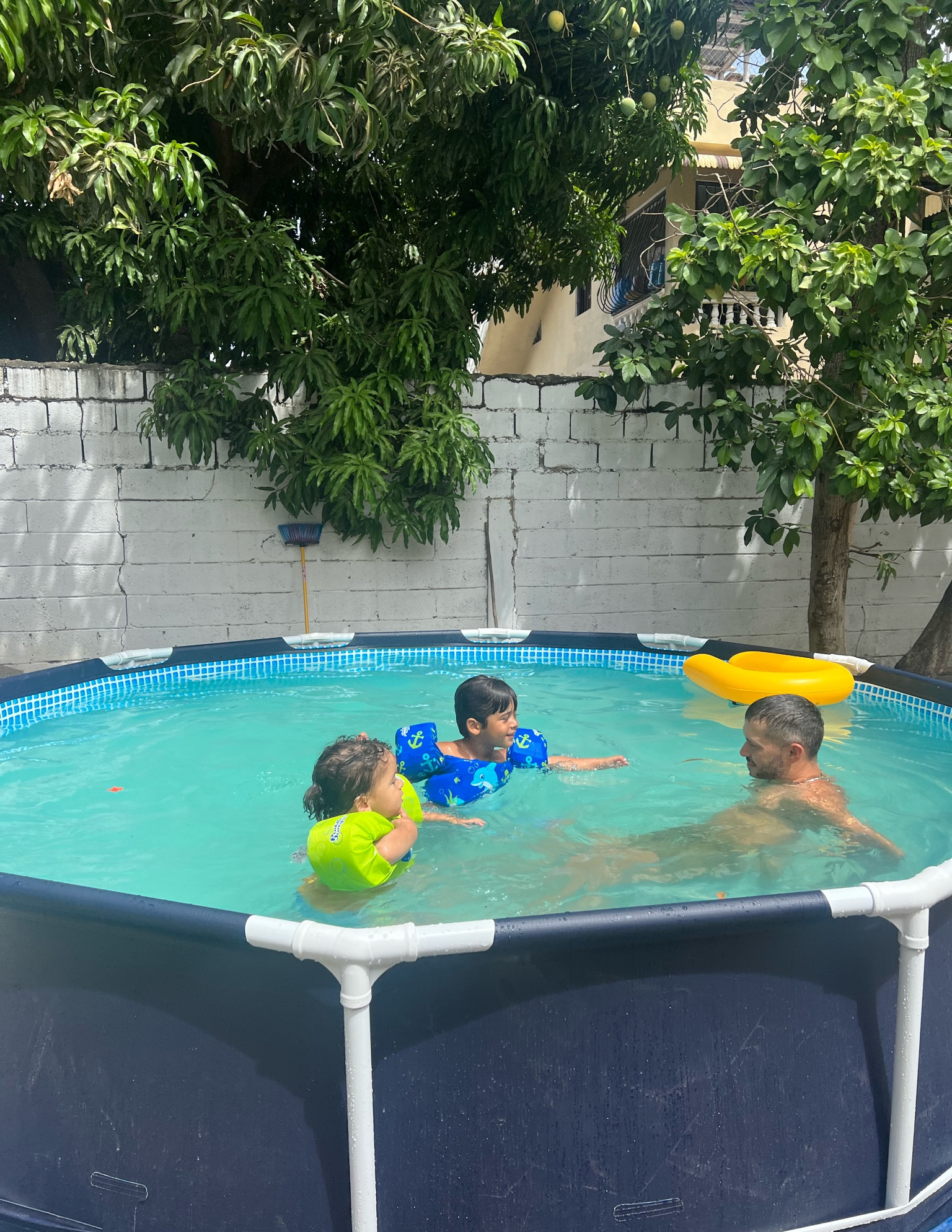 Our favorite above ground pool 🐠🪼🐙

#pool #summer #aboveground #summerpool #familypool 

#LTKGiftGuide #LTKSeasonal #LTKSwim