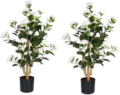 Romantic Season 2Pack Artificial Camellia Tree 3FT, White Faux Camellia Plant Fake Potted Camelli... | Amazon (US)