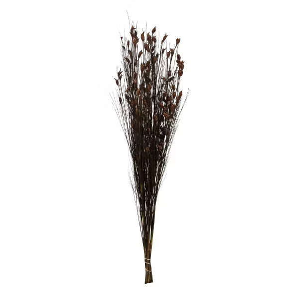 Vickerman Natural Bell Grass with Seed Pods, Preserved | Target
