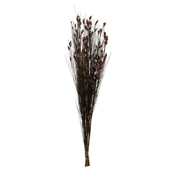 Vickerman Natural Bell Grass with Seed Pods, Preserved | Target