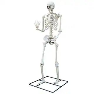 10ft. Animated Light-Up Skeleton by Ashland® | Michaels Stores