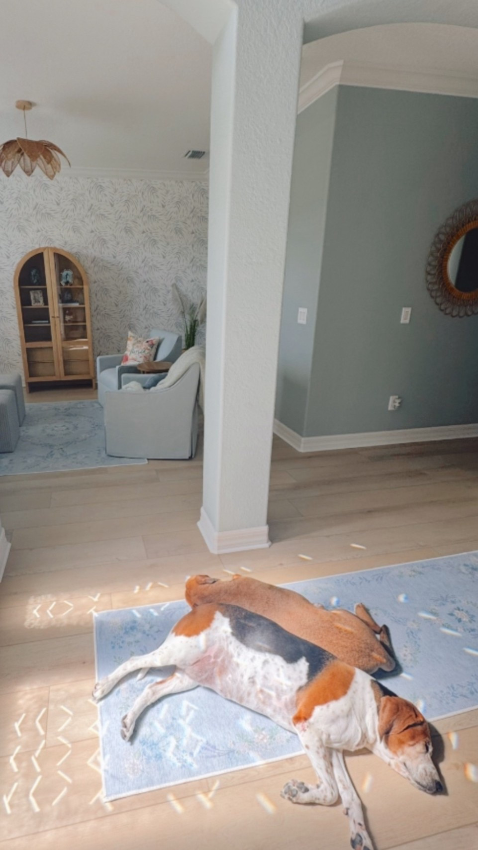 Sitting room links 🩵