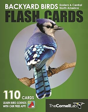 Backyard Birds Flash Cards - Eastern & Central North America (Cornell Lab of Ornithology) 
    
 ... | Amazon (US)