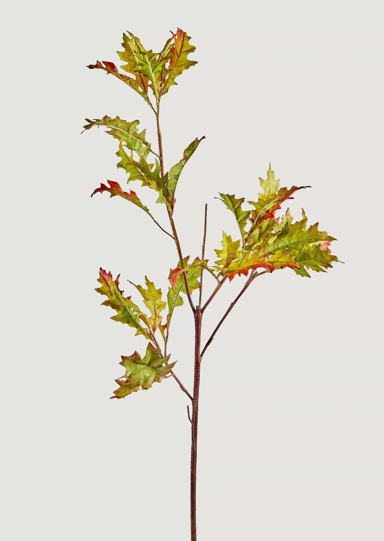 Green Oak Leaf Branch | High-Quality Faux Branches at Afloral.com | Afloral