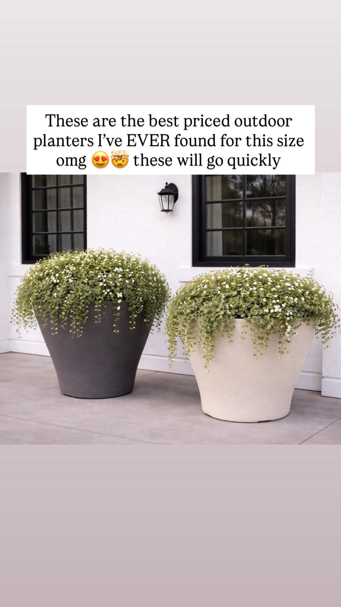 These are the best priced outdoor planters I’ve EVER found for this size omg 😍🤯 these will go quickly

#LTKSeasonal #LTKHome #LTKSaleAlert