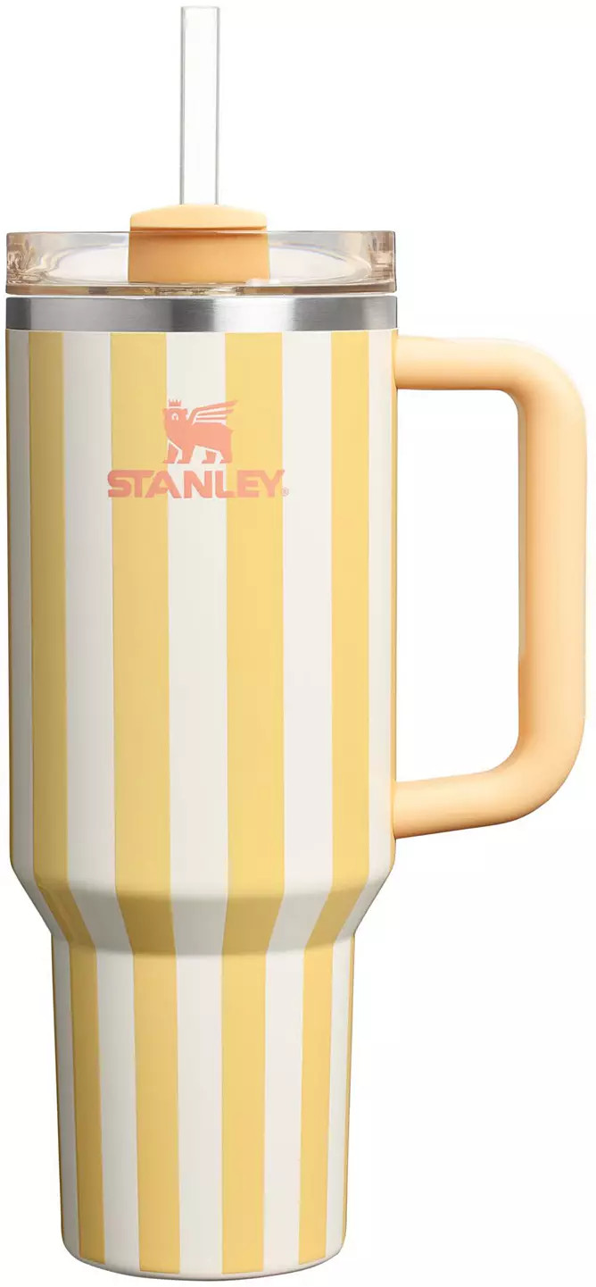 Stanley 40 oz. Quencher H2.0 FlowState Tumbler - Oasis Collection | DICK'S Sporting Goods
