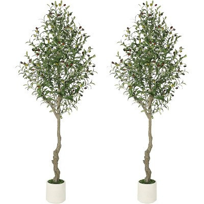 5Ft Faux Olive Tree - Fake Potted Olive Silk Plant with White Planter, Natural Olive  and Realistic Leaves for Home Office Decor, Set of 2 | Target
