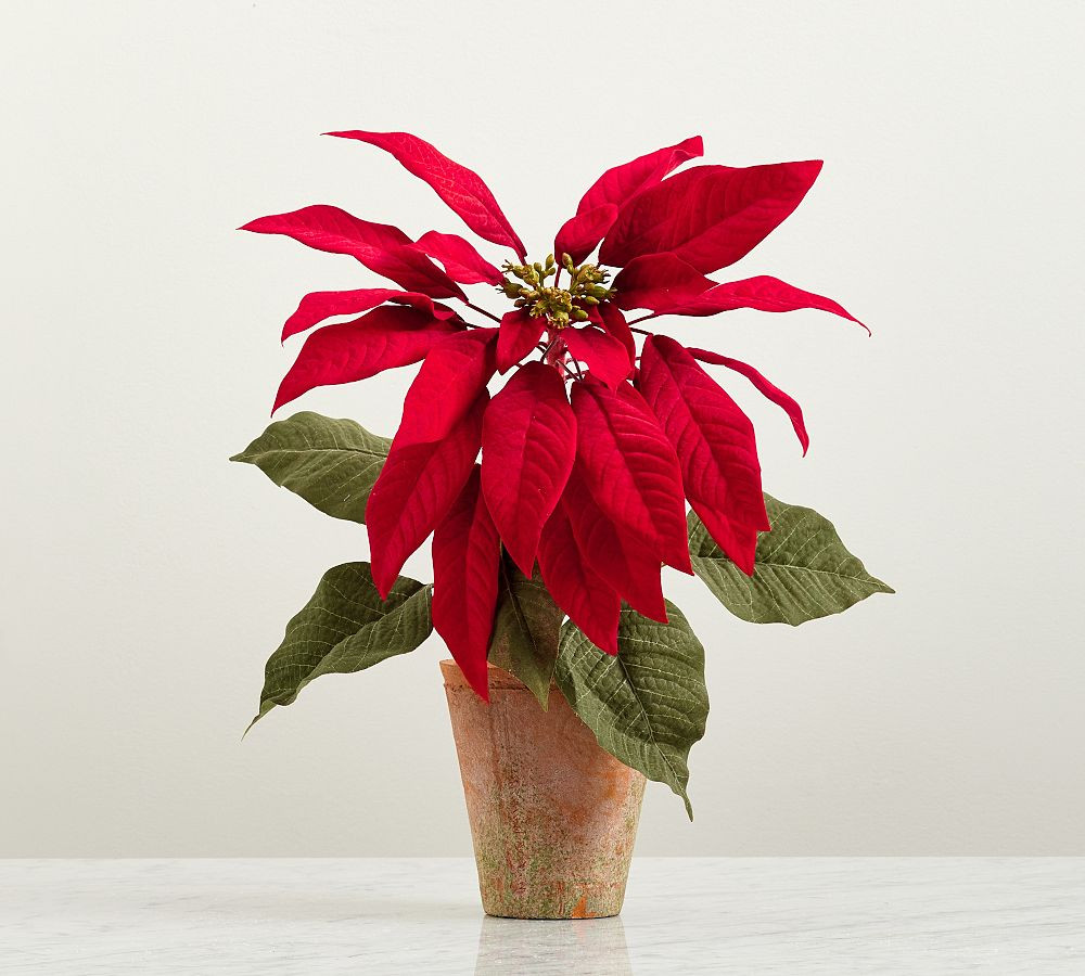 Faux Potted Poinsettias | Pottery Barn (US)