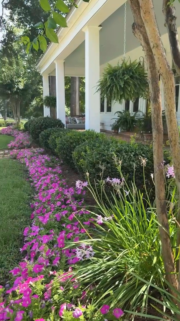 Summer Garden Inspo, Gardening, Petunias, Fish Fertilizer, Pine Straw, Outdoor Living 

#LTKSeasonal #LTKOver40 #LTKHome