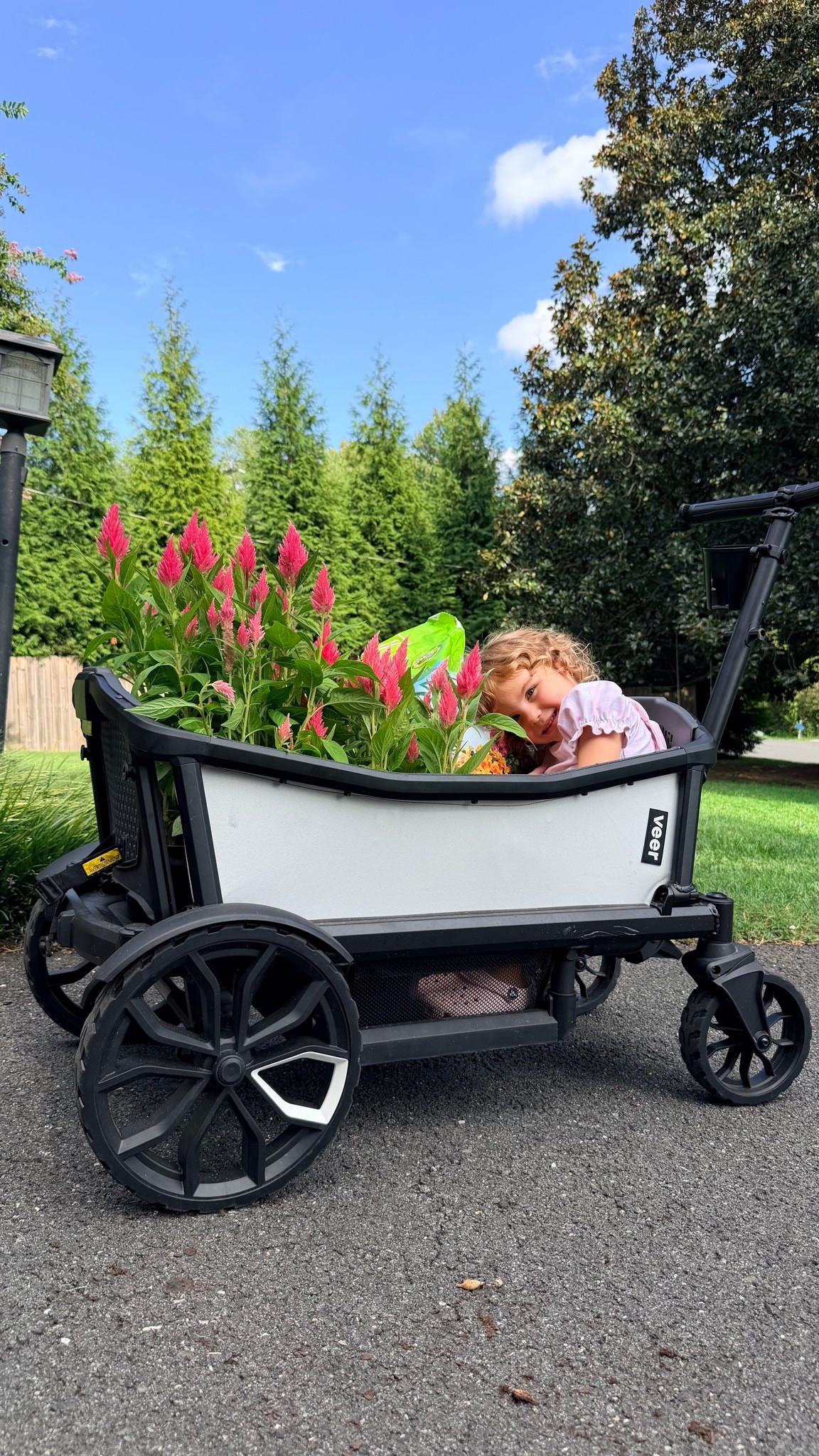 Best wagon, love that it folds easily, can be pushed or pulled & can be hosed down.

#LTKmomlife #LTKSaleAlert #LTKKids