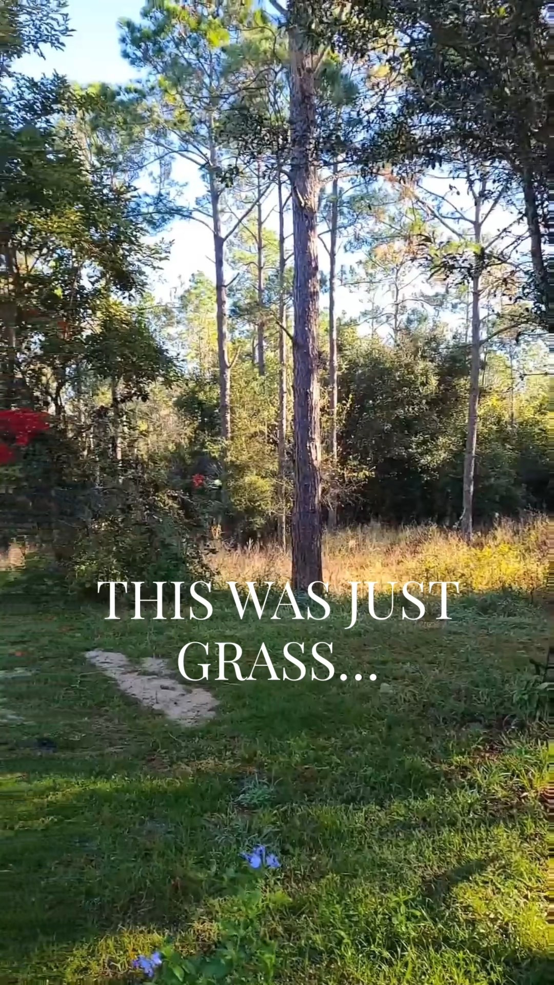 Create your backyard oasis  

#LTKHome #LTKSaleAlert #LTKselfcare