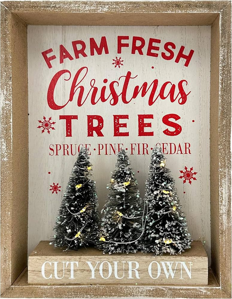 Christmas Decorations for Home Farmhouse LED Lighted Farm Fresh Christmas Tree Decor with Timer W... | Amazon (US)