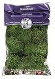 Super Moss Mood Moss Preserved Natural Green 1200cuin, Fresh Green, 200 in3 Bag (Appx. 8oz) (21539) | Amazon (US)