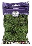 Super Moss Mood Moss Preserved Natural Green 1200cuin, Fresh Green, 200 in3 Bag (Appx. 8oz) (21539) | Amazon (US)