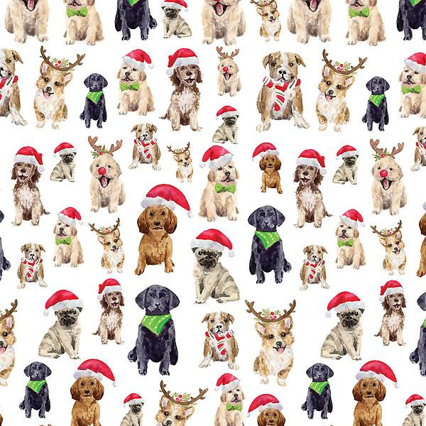 Puppies Wrapping Paper | The Container Store