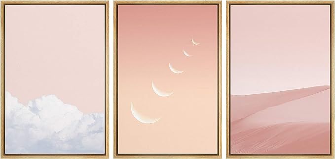 NWT Framed Wall Art Print Set Pink Cloud, Moon & Sand Dune Variety Nature Wilderness Mixed Media ... | Amazon (US)
