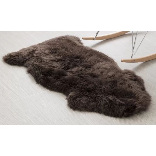 Fraga Handmade Brown Area Rug | Wayfair Professional