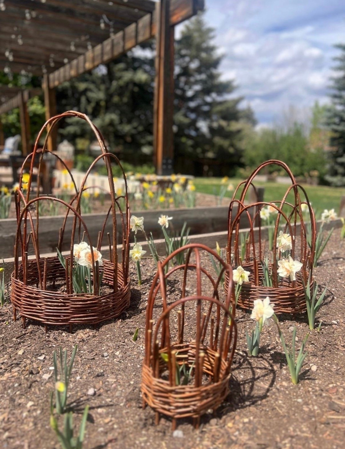 These willow cloches are just too darling not to share 🥰

#LTKSeasonal #LTKHome #LTKSaleAlert