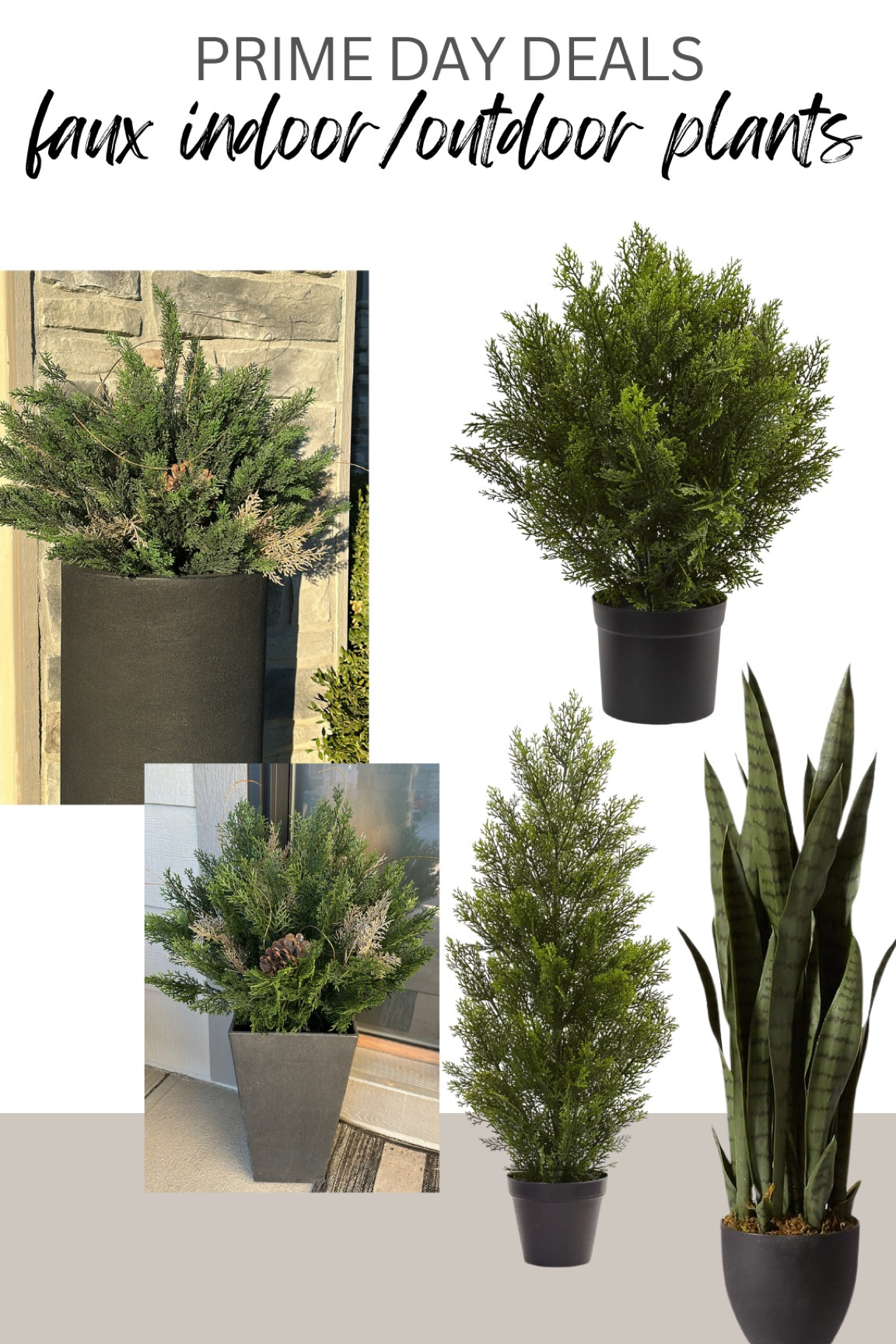 The BEST faux plants— I’ve had the cedars for over a year and they wear so well. No discoloring or issues 👏🏻👏🏻

#LTKxPrimeDay